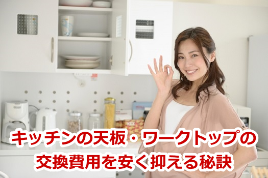 �L�b�`���̓V�E���[�N�g�b�v�̌�����p�������}����錍